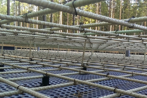 What are the Disadvantages of GFRP Bars?